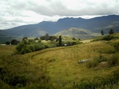 Looking back up the valley