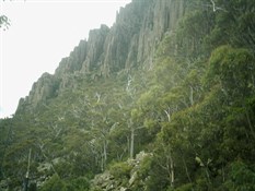 The face of Ben Lomond