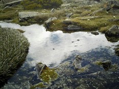 ... and then there were the small tarns