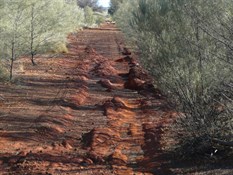 Track into the Camp