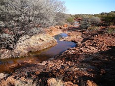 A series of permanent water holes 