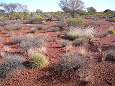 Beautiful rich desert colours