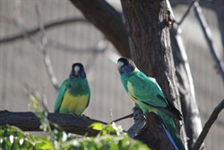 Locals down the Todd Mall