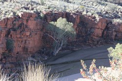 Trephina Gorge