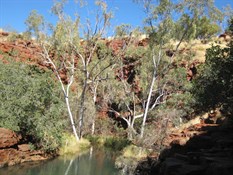 Lunch spot at Weano Gorge