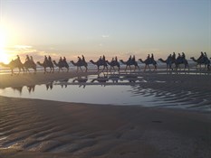 Camel Ride