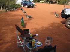 Lunch at Sandfire Roadhouse