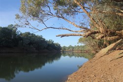 Fitzroy river near old Cherebun Station