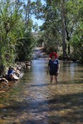 Splashing around in the Pentecost river just up from the campsite at El Questro