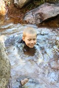 Zebedee Springs