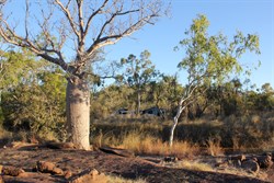 Campsite near burnett river gorge