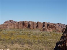 Bungles 1