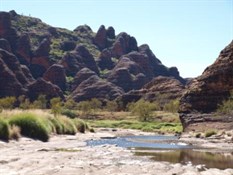 Bungles2