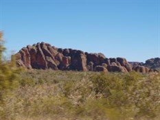 Bungles3