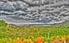 Daintree Landscape in HDR