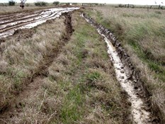 the aftermath..QLD black soil