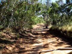 the road in to Adel's Grove