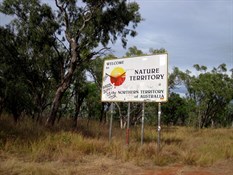 The NT