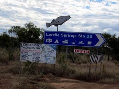 Lorella