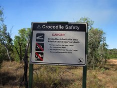 Lotsa crocs
