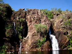 Wangi
