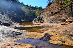 Homestead creek gorge