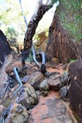 chasm walk