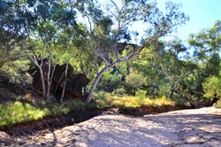 sandy creekbed