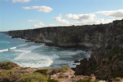 The shear cliff face Great Australian Bight