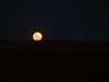 Argyle Moonrise