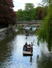 Punts on the Cam, along the "backs".