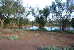 Galena Bridge Free Camp Area