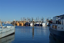 Fishing Fleet