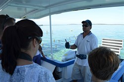 Lessons on the Oyster Industry