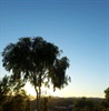 Sunset from Anzac Hill