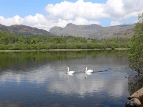 Elterwater