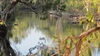 5 mile creek camp