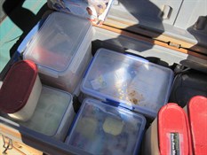 Safe storage