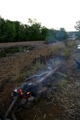 Our campfire view