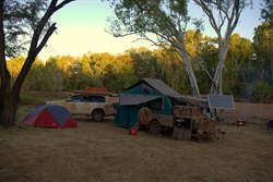 Cormorant camp in the evening