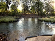 Creek crossing to your heart's content