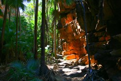 Lost city