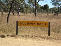The Gibb