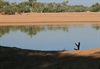The view Langies Crossing