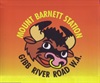 Mt Barnett