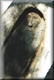 Carving of Wills - on tree near the Dig Tree