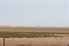 Wind swept plains Karumba