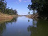 Looks fishy on the other side of the dam
