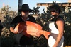 gettin him into the tinnie was fun - Red Emporor not bad eh