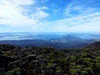 Mt Wellington